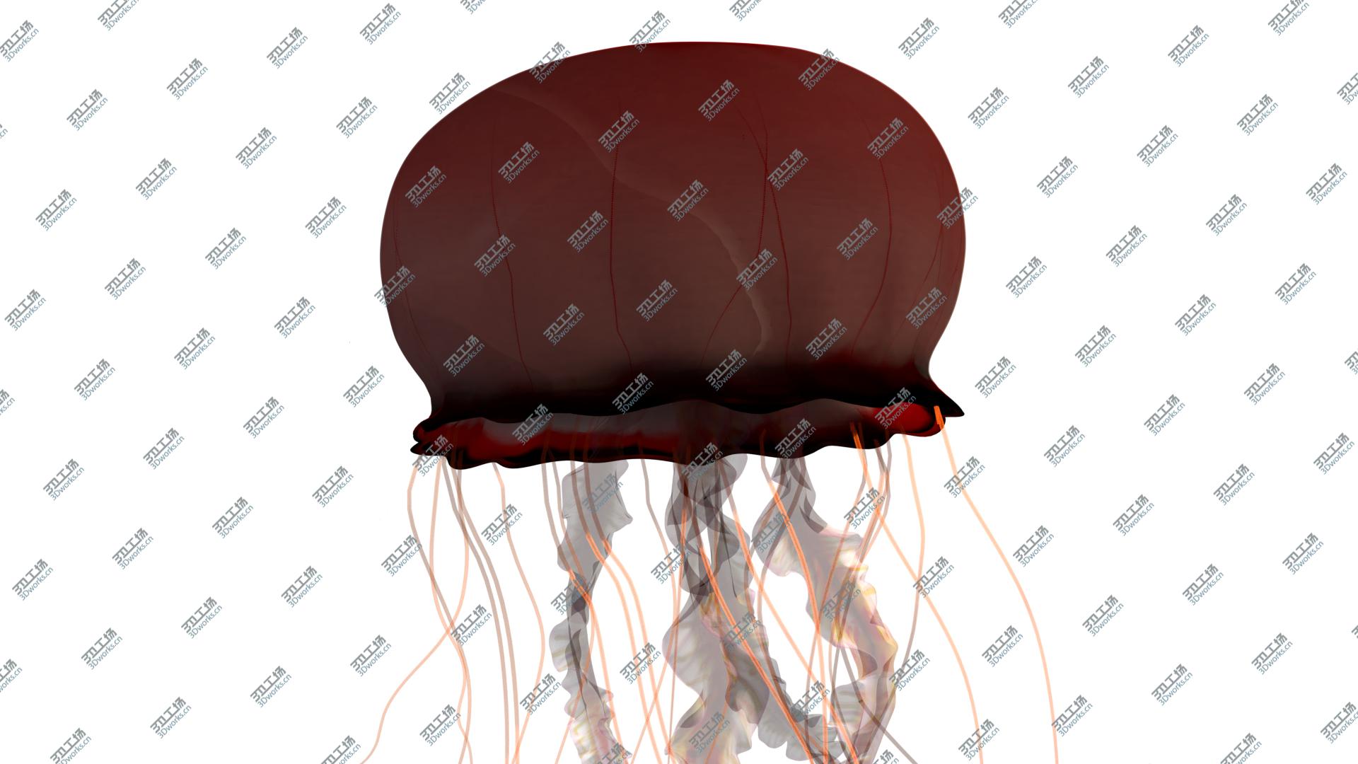 images/goods_img/202105074/JellyFish 3D model/2.jpg